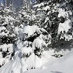 Glühwürmchenhütte *