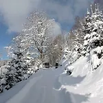 Glühwürmchenhütte *