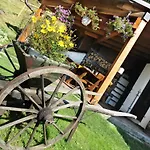 Glühwürmchenhütte Ratten