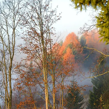 Gluehwuermchenhuette Und Romantikhuette Domek alpejski