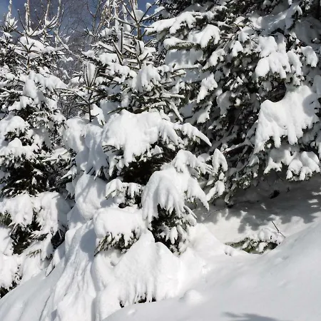 Gluehwuermchenhuette Und Romantikhuette *