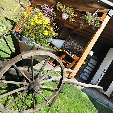 Glühwürmchenhütte Ratten