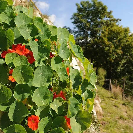 Glühwürmchenhütte Chalet *