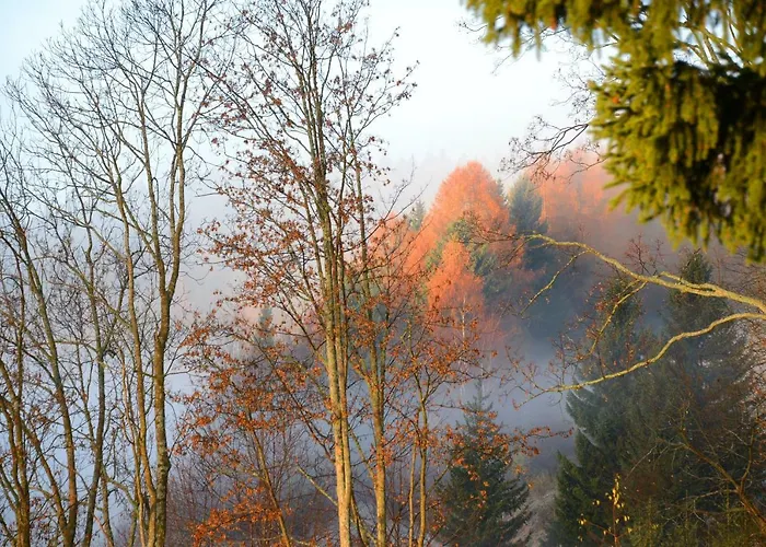 Gluehwuermchenhuette Und Romantikhuette شاليه