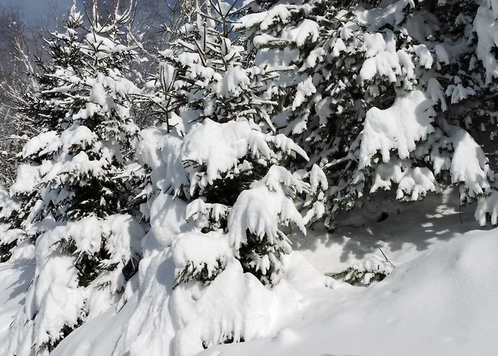 Gluehwuermchenhuette Und Romantikhuette *