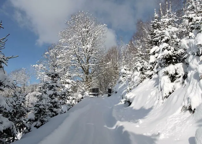 Gluehwuermchenhuette Und Romantikhuette *