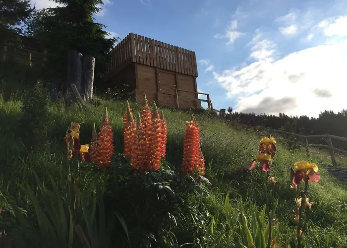 شاليه Gluehwuermchenhuette Und Romantikhuette راتتن