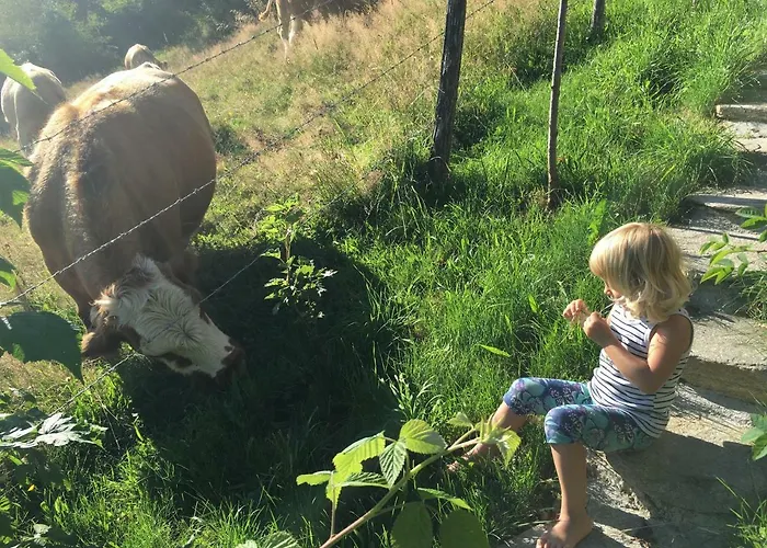 Шале Gluehwuermchenhuette Und Romantikhuette *