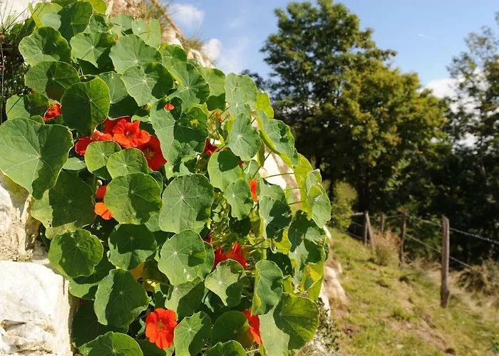 Gluehwuermchenhuette Und Romantikhuette Шале *